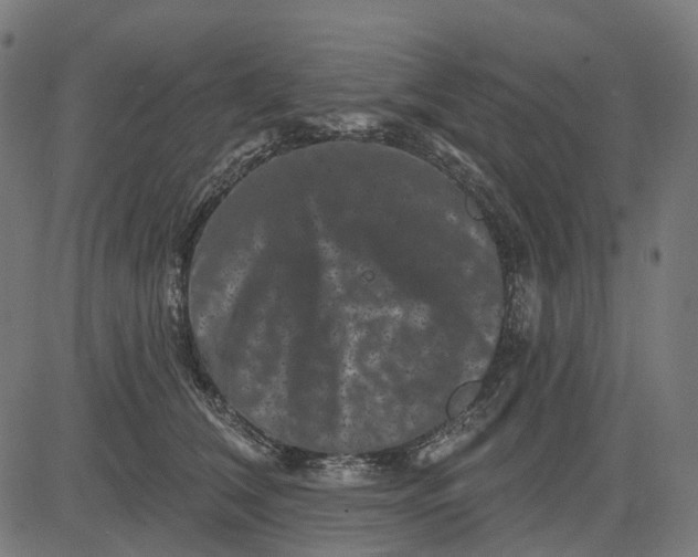 X0000082710612200702091749