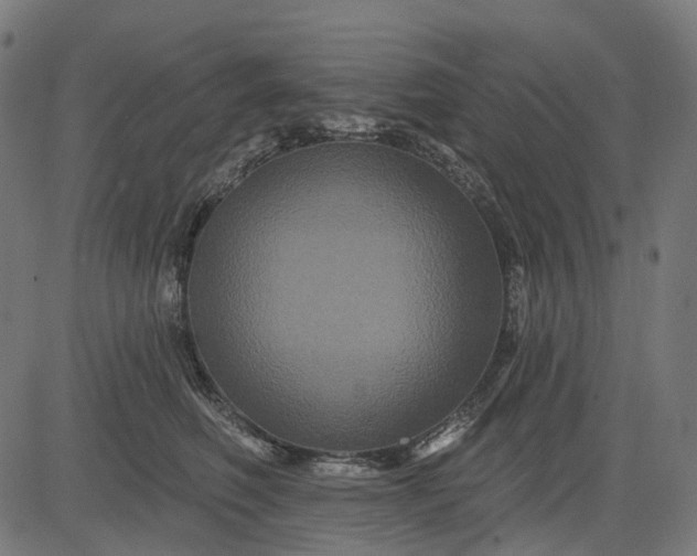 X0000082710614200702091749