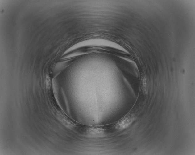 X0000082710617200702091749