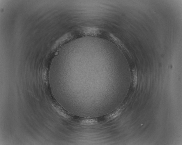 X0000082710619200702091749