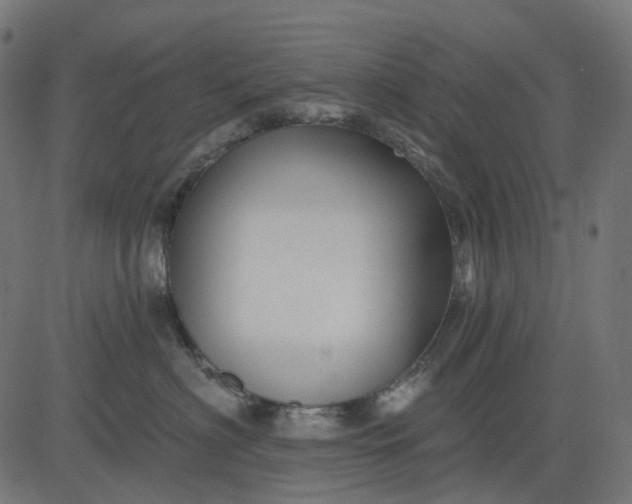 X0000082710622200702091749