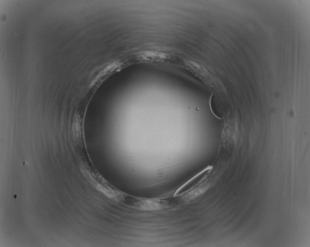 X0000082710623200702091749