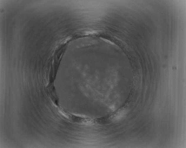 X0000082710624200702091749