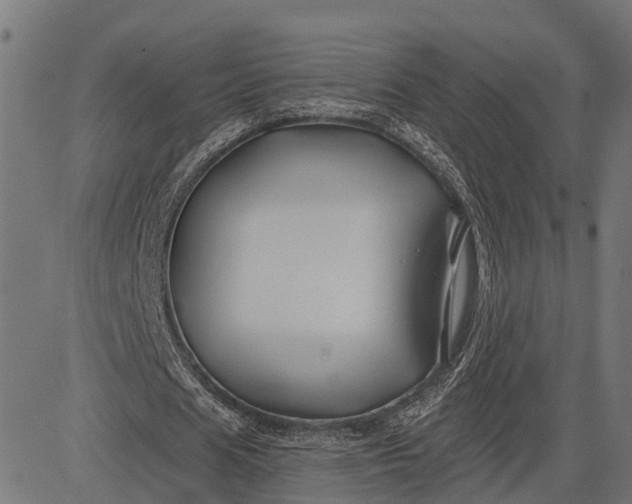 X0000082710625200702091748