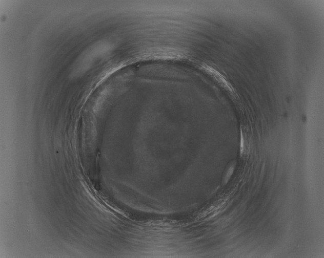 X0000082710627200702091748