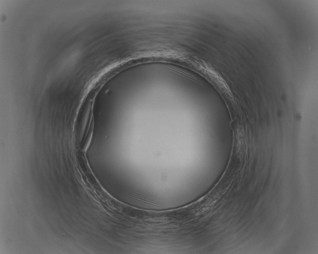 X0000082710628200702091748