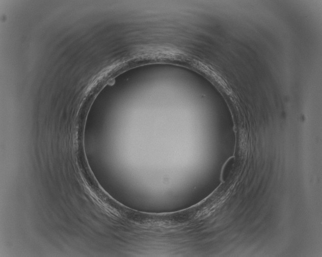 X0000082710629200702091748