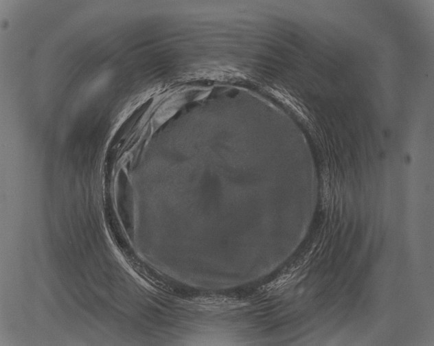 X0000082710630200702091748