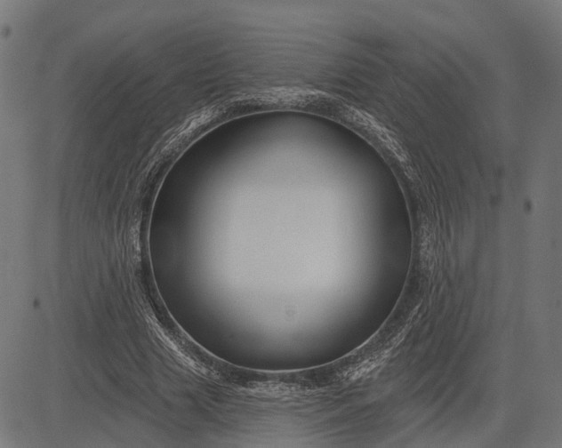 X0000082710633200702091748