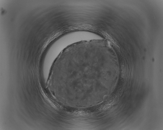 X0000082710634200702091748