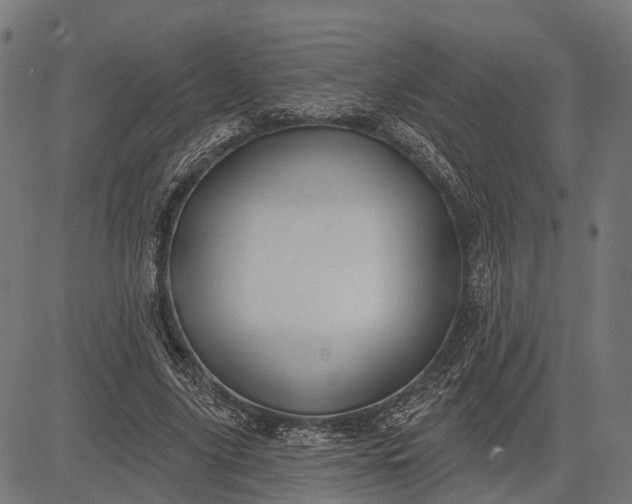 X0000082710635200702091748