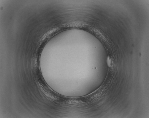 X0000082710636200702091748