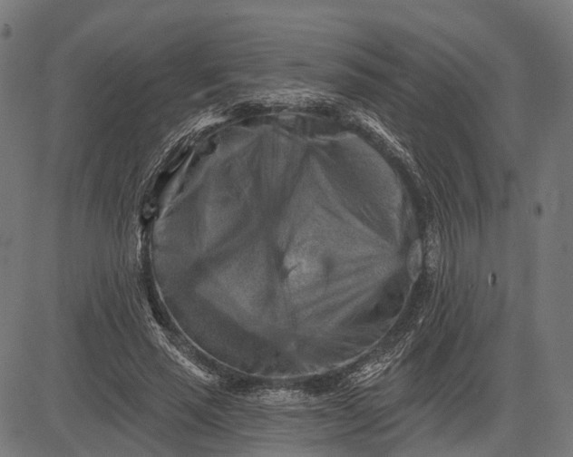 X0000082710637200702091748