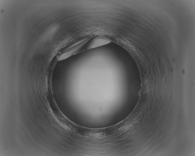 X0000082710638200702091748