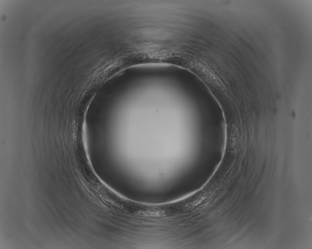 X0000082710639200702091748