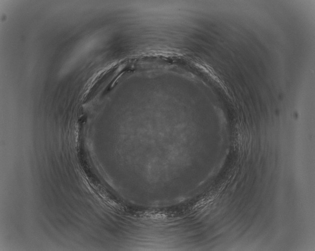 X0000082710640200702091748