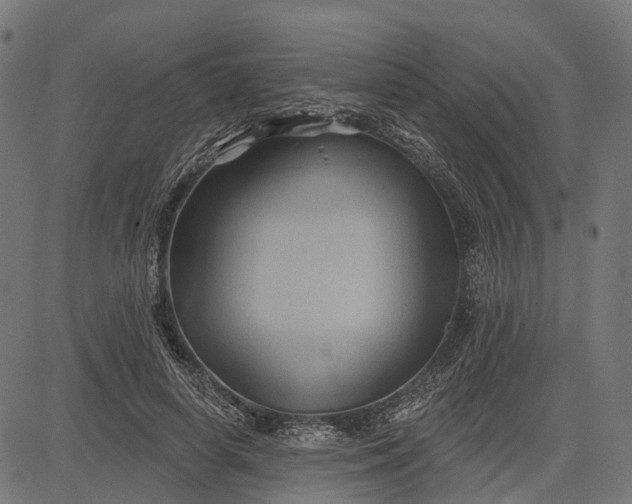 X0000082710642200702091748