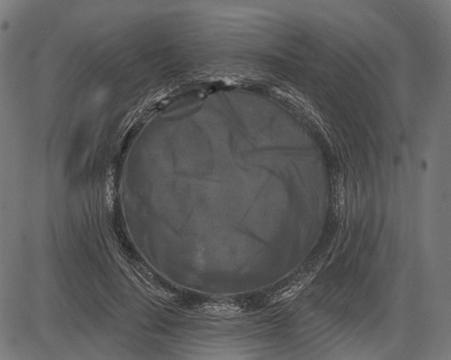 X0000082710644200702091748