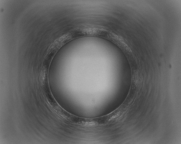 X0000082710645200702091748