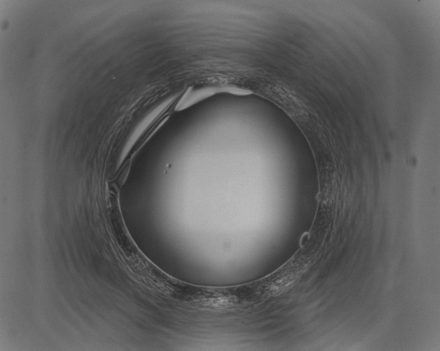 X0000082710646200702091748