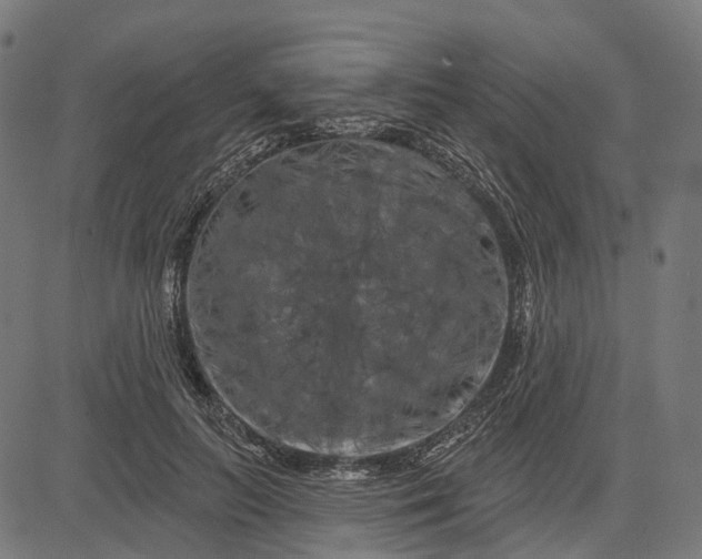 X0000082710647200702091748