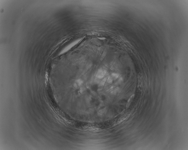 X0000082710648200702091748