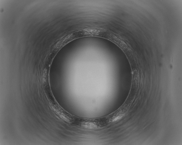 X0000082710649200702091748