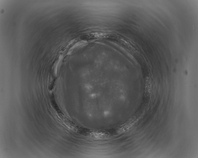 X0000082710650200702091749