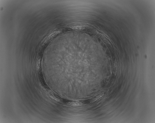 X0000082710652200702091749