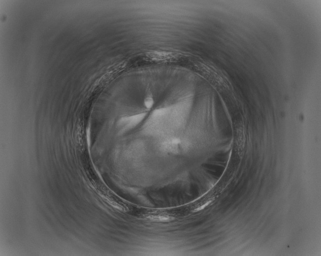 X0000082710653200702091749