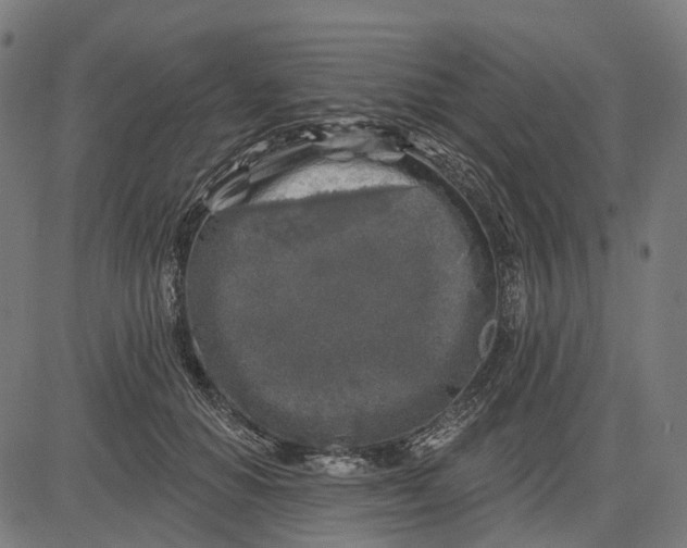 X0000082710654200702091749