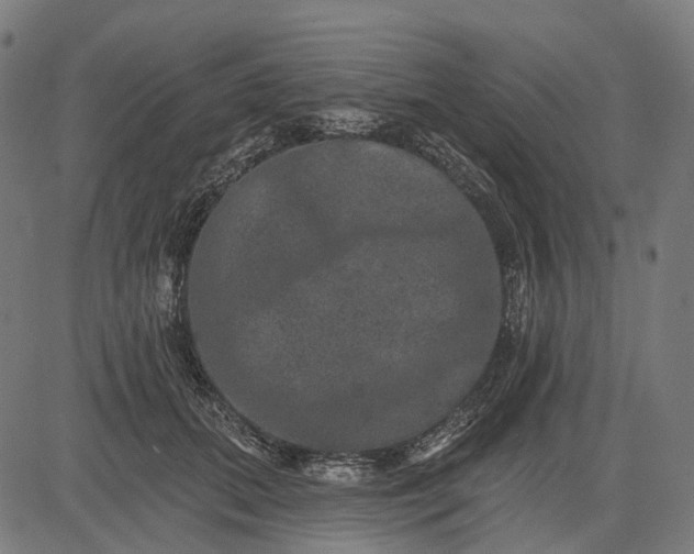 X0000082710655200702091749