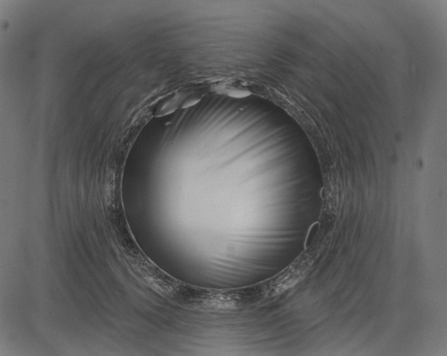 X0000082710656200702091749