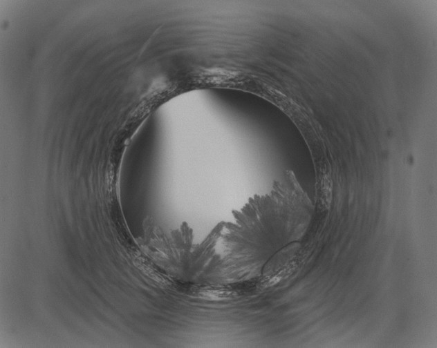 X0000082710657200702091749