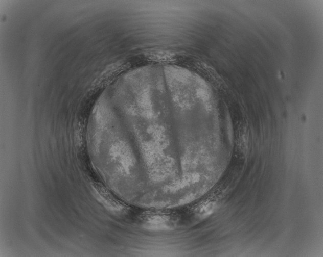 X0000082710658200702091749