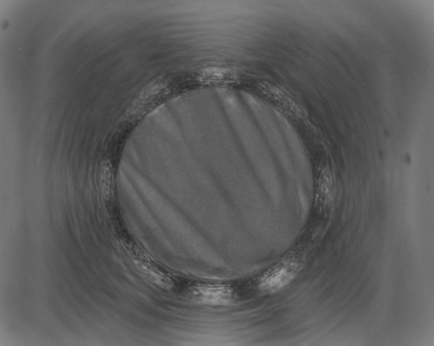 X0000082710659200702091749