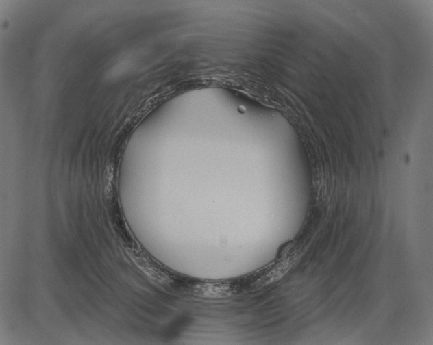 X0000082710660200702091749