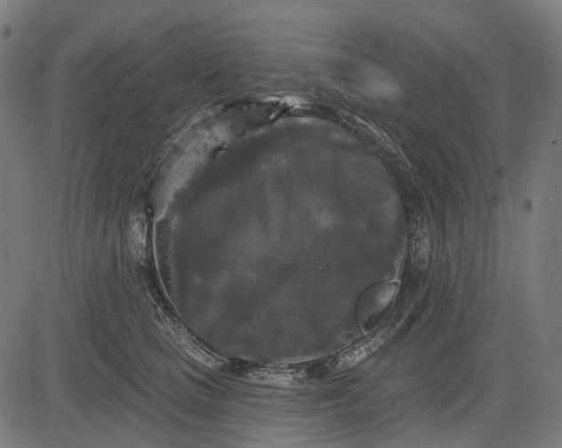 X0000082710661200702091749