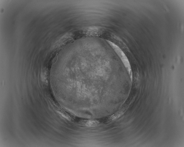 X0000082710663200702091749