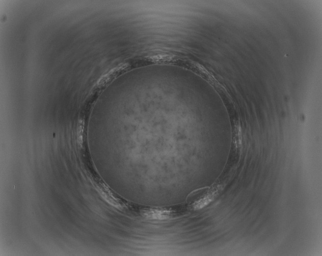 X0000082710664200702091749