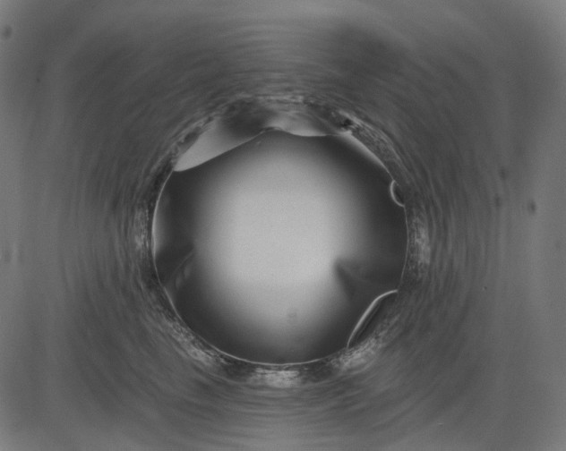 X0000082710665200702091749