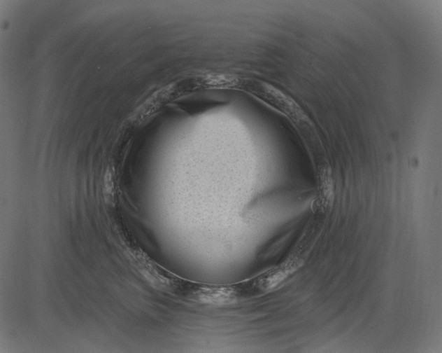 X0000082710667200702091749