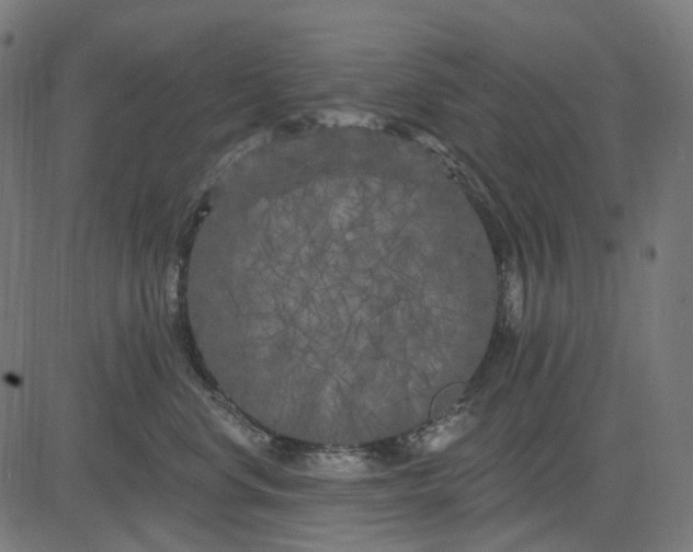 X0000082710668200702091749