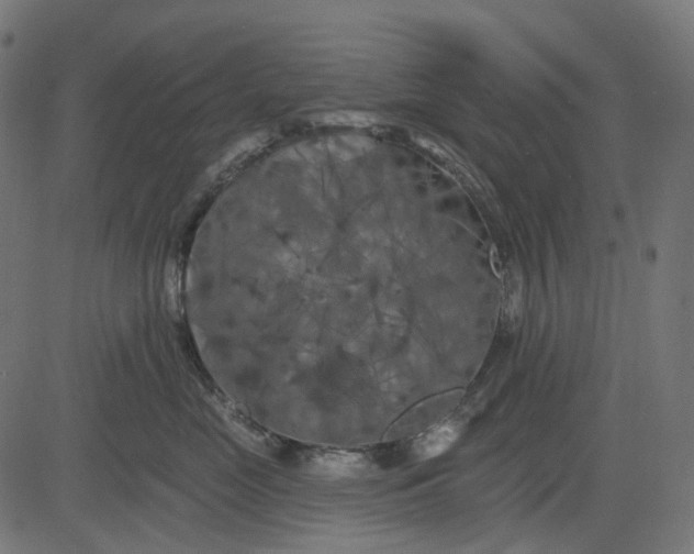 X0000082710669200702091749