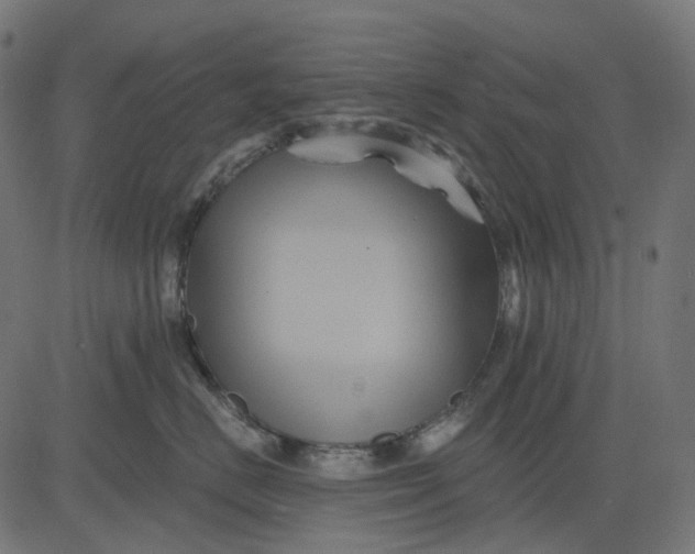 X0000082710670200702091749