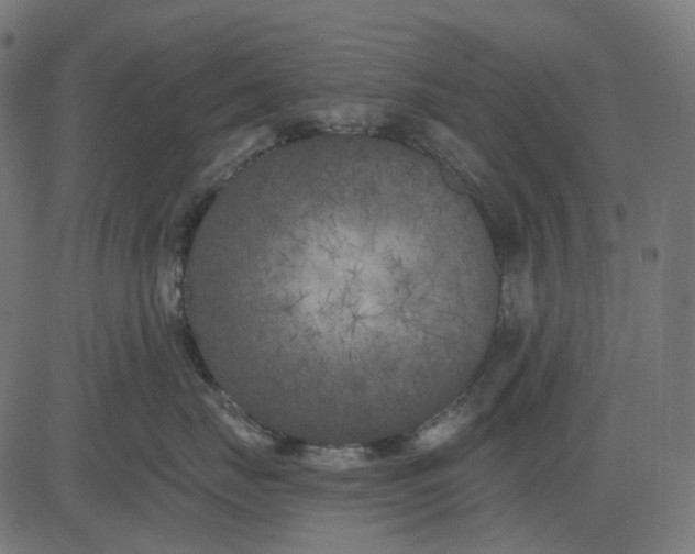 X0000082710671200702091749