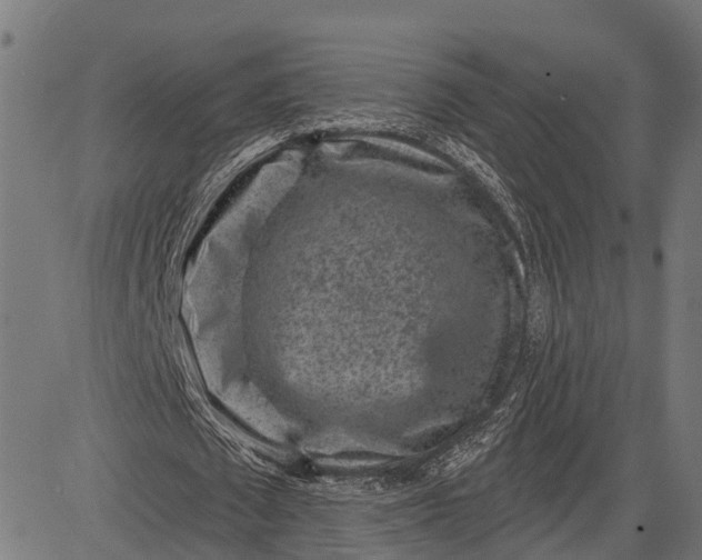 X0000082710673200702091748