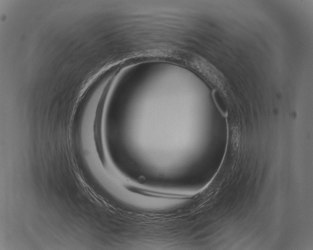 X0000082710676200702091748