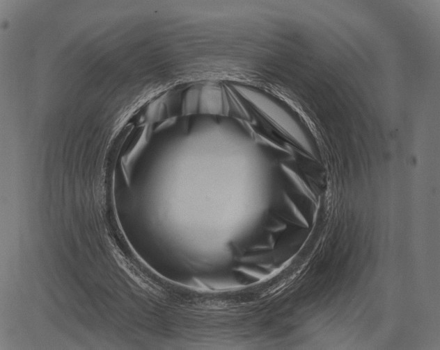 X0000082710677200702091748