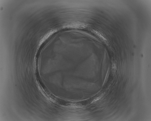 X0000082710678200702091748